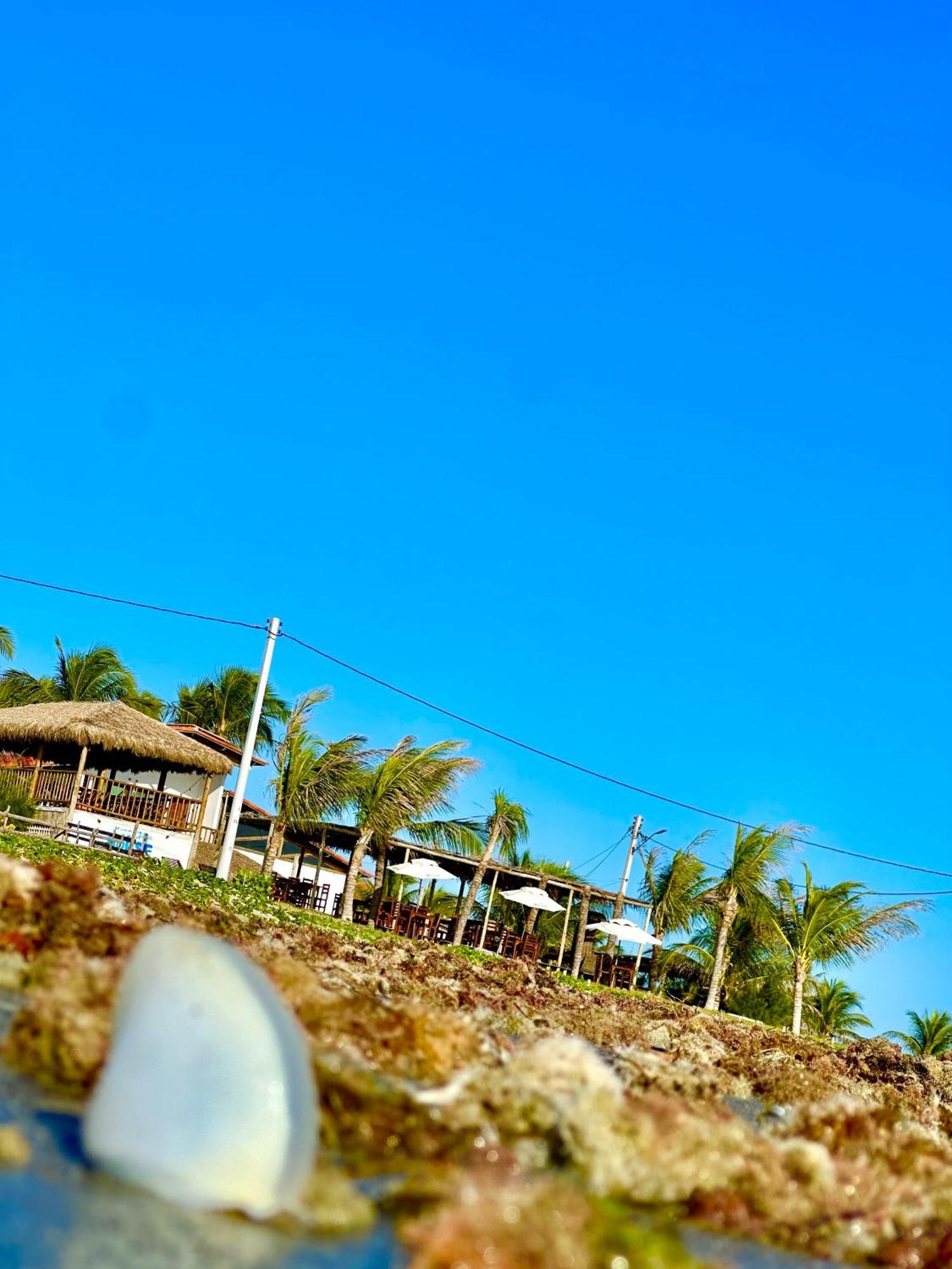 Seu Pedro Lounge Praia - Pousada E Kite Center Icapui Ngoại thất bức ảnh